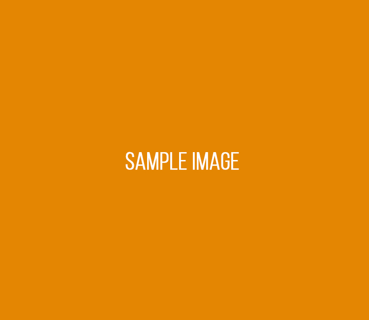 Sample Image Orange